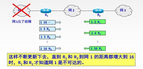 路由算法