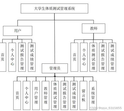 java计算机毕业设计基于springboot的大学生体质测试管理系统