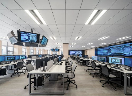 攻防兼备 软硬皆通 网络系统设计与开发专业报考武汉大学的优势与策略